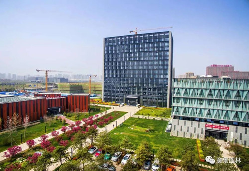 路邊那些不起眼的植物竟是打造海綿城市關鍵