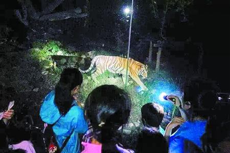 上海:公園推出科普夜游受熱捧