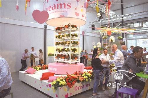 2018歐洲花卉新品展示會延續強勢