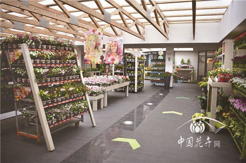 2018歐洲花卉新品展示會延續強勢