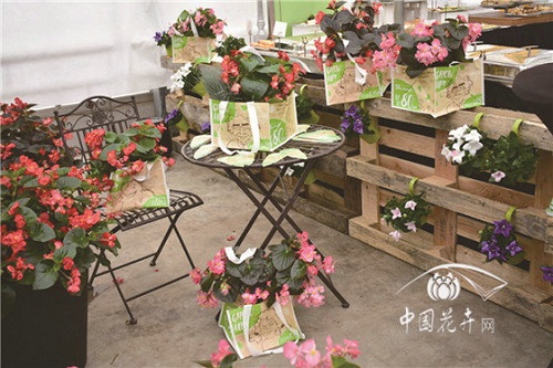 2018歐洲花卉新品展示會延續強勢