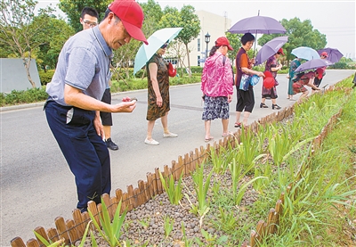 浙江寧波：污泥“搖身”變為綠植陶粒