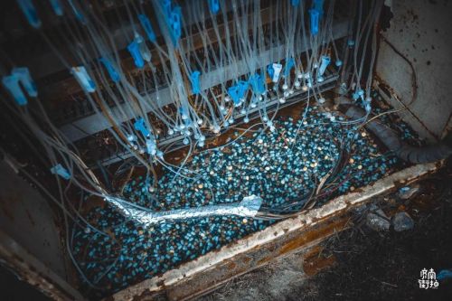 1956如釋藝術(shù)工場(chǎng)