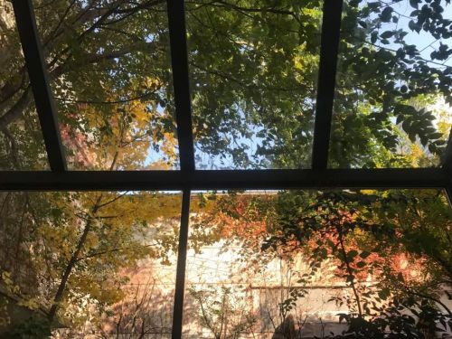 1956如釋藝術(shù)工場(chǎng)