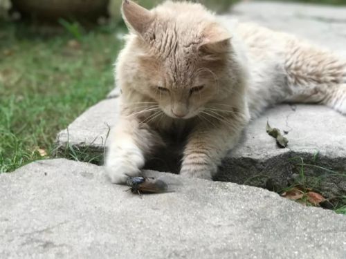 1956如釋藝術(shù)工場(chǎng)