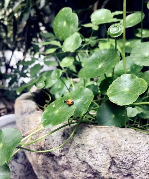 1956如釋藝術(shù)工場(chǎng)