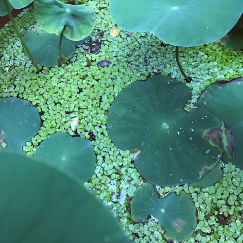 1956如釋藝術(shù)工場(chǎng)