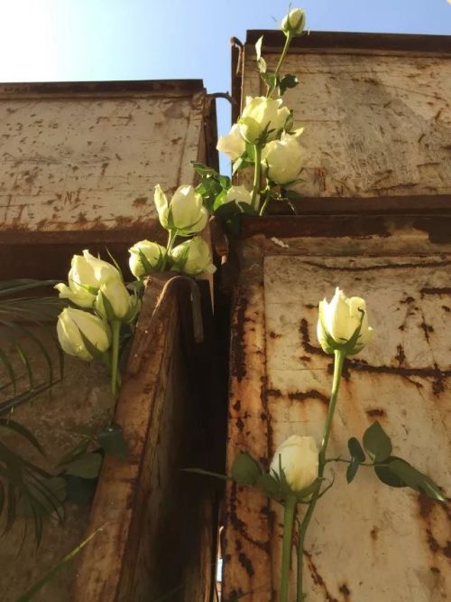 1956如釋藝術(shù)工場(chǎng)