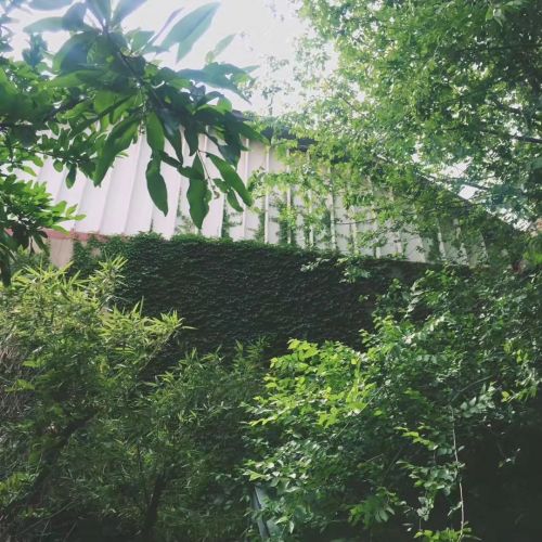 1956如釋藝術(shù)工場(chǎng)