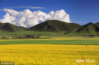 為保護生態環境景區發布禁游令 永葆綠洲生機