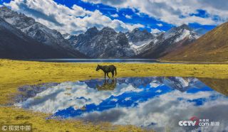 為保護生態環境景區發布禁游令 永葆綠洲生機