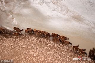 為保護生態環境景區發布禁游令 永葆綠洲生機