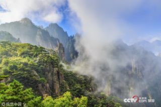 為保護生態環境景區發布禁游令 永葆綠洲生機