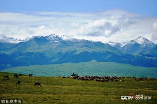 為保護生態環境景區發布禁游令 永葆綠洲生機