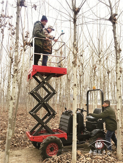 “狼”來了,你會跟誰“跑”?