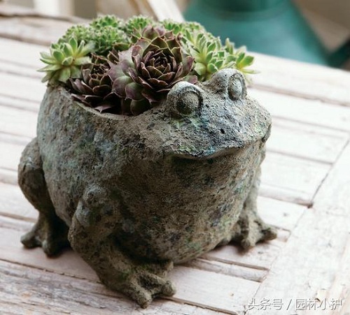 園林小品，園林中"奇麗的花朵"