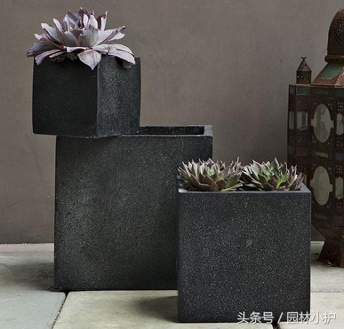 園林小品，園林中"奇麗的花朵"