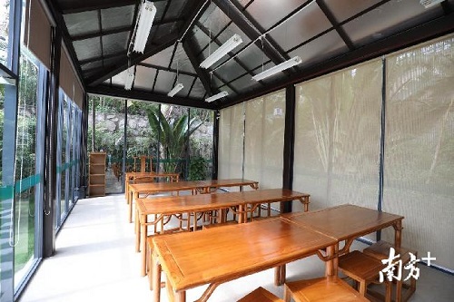 珠海鬧市中，藏著一座琴棋書畫的“世外園林”