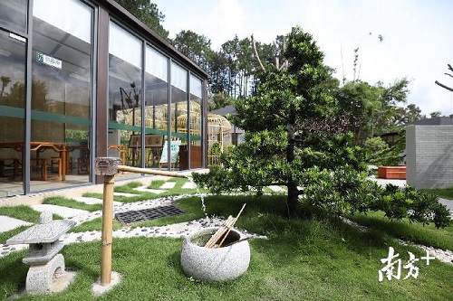 珠海鬧市中，藏著一座琴棋書畫的“世外園林”