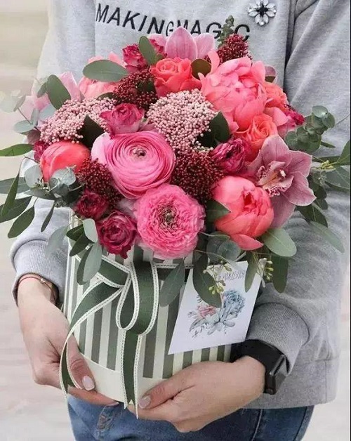 插花入門篇|小白選手從認(rèn)識常見花材開始