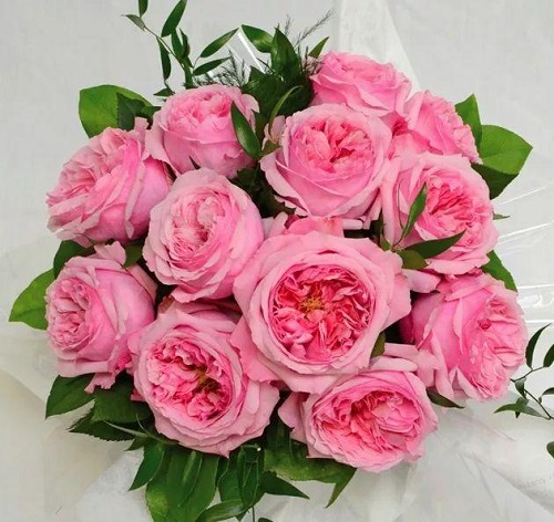 插花入門篇|小白選手從認(rèn)識常見花材開始