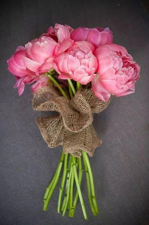 插花入門篇|小白選手從認(rèn)識常見花材開始