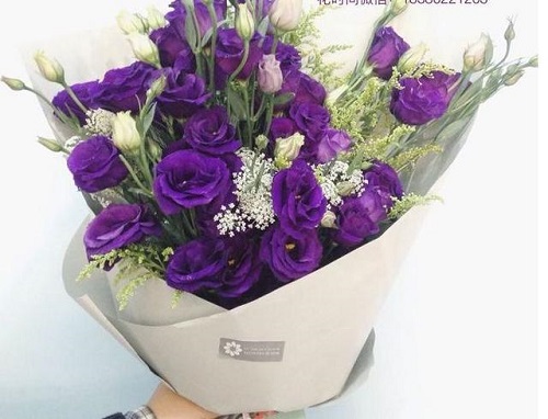 插花入門篇|小白選手從認(rèn)識常見花材開始