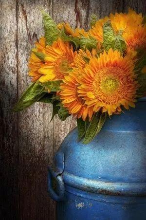 插花入門篇|小白選手從認(rèn)識常見花材開始