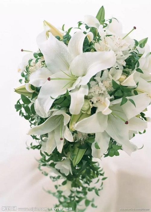 插花入門篇|小白選手從認(rèn)識常見花材開始