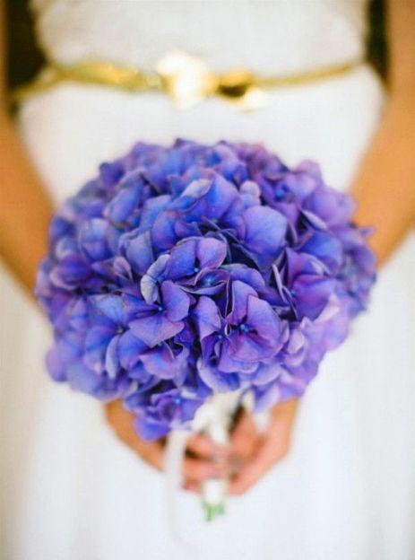 插花入門篇|小白選手從認(rèn)識常見花材開始