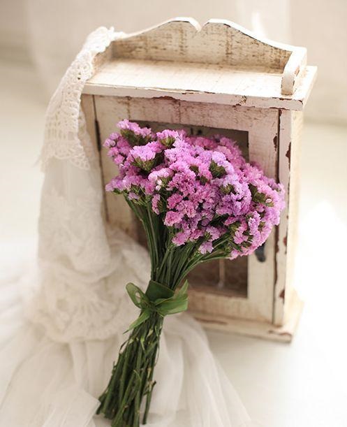 插花入門篇|小白選手從認(rèn)識常見花材開始