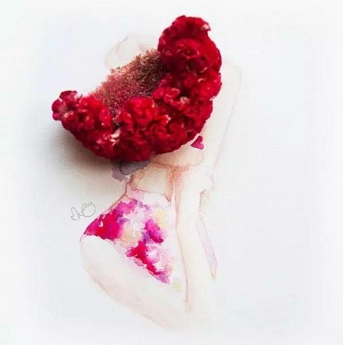 插花入門篇|小白選手從認(rèn)識常見花材開始