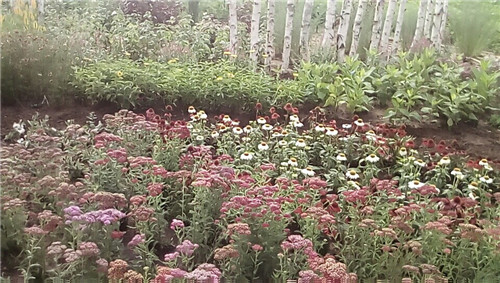 河北省第二屆(秦皇島)園林博覽會開幕