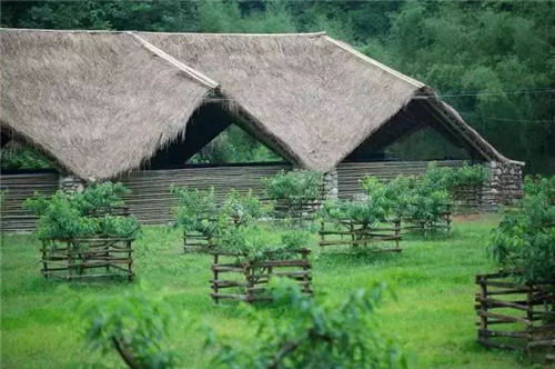 朱玲：鄉(xiāng)建抉擇——態(tài)度+溫度+適度