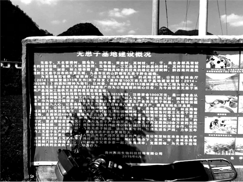 朱玲：鄉(xiāng)建抉擇——態(tài)度+溫度+適度