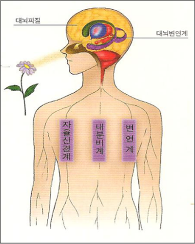 趙泰東：治愈花園