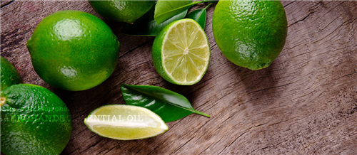 趙泰東：治愈花園