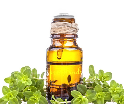 趙泰東：治愈花園