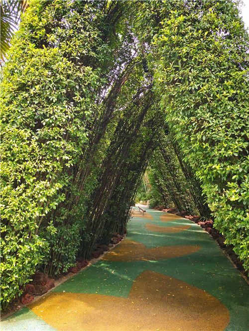 新加坡景觀專業(yè)考察 TIERRA事務(wù)所拜訪交流