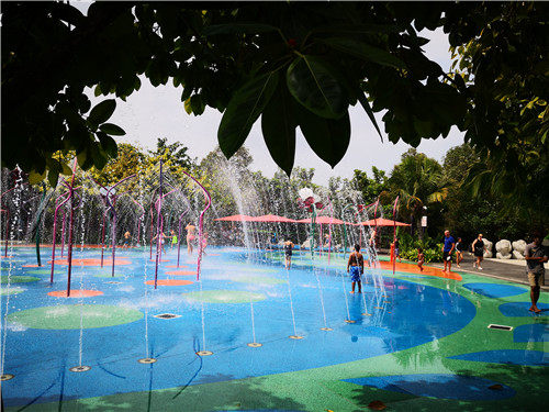 新加坡景觀專業(yè)考察 TIERRA事務(wù)所拜訪交流