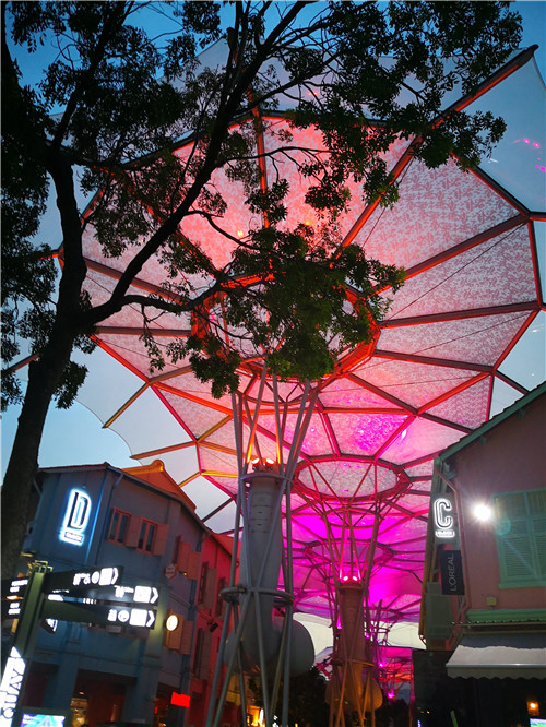 新加坡景觀專業(yè)考察 TIERRA事務(wù)所拜訪交流