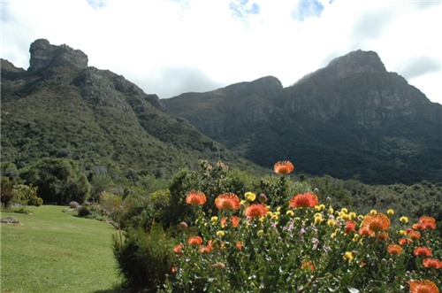 包滿珠：尊重自然傳承文化 建設(shè)優(yōu)美城市園林