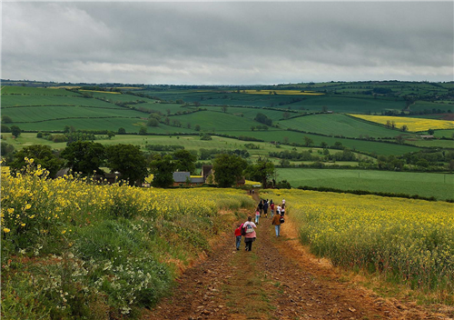 朱建寧:美麗中國背景下的國土風貌整治