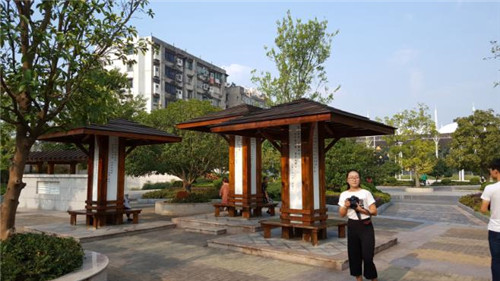 強健：新時代園林文化創(chuàng)作要正本清源