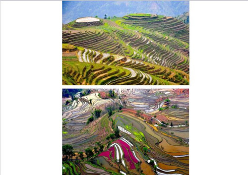 帕斯卡?奧夫斯坦：北京-巴黎 景觀-建筑