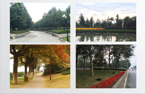 田如男:園林植物應用之思考