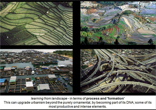 伊娃?卡斯特羅、王川：景觀都市主義