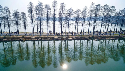 武漢緣何不再那么熱?城市植被如綠色空調