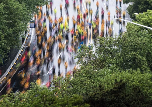 武漢緣何不再那么熱?城市植被如綠色空調