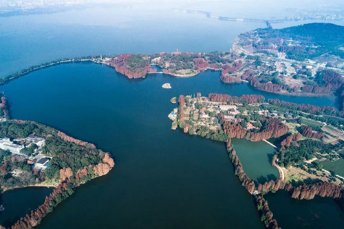 武漢緣何不再那么熱?城市植被如綠色空調